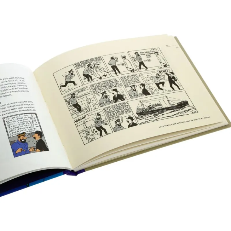 Shop A la recherche du trésor de Rackham le Rouge Monografieën
