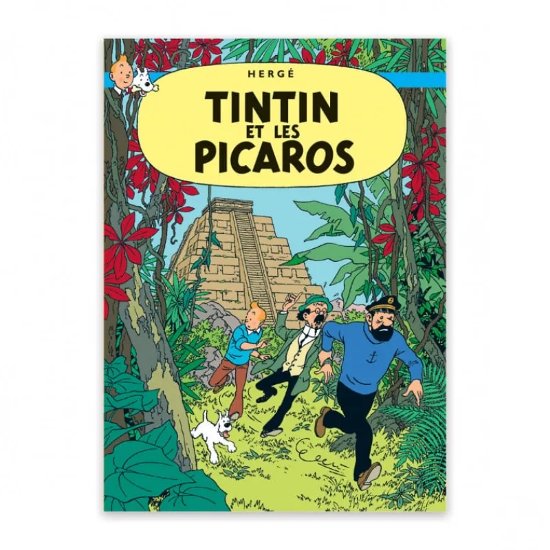 Shop Briefkaart-Kuifje en de Picaro's Ansichtkaarten
