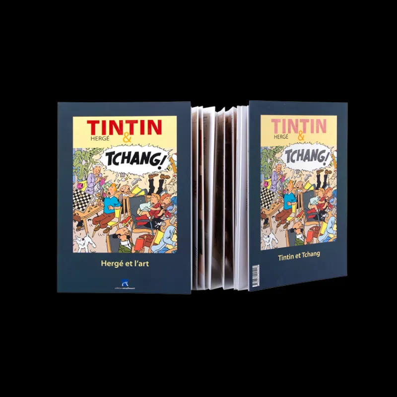 New Catalogus-Tentoonstelling Hergé Nice Monografieën